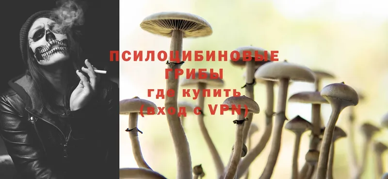 наркотики  Верхоянск  Псилоцибиновые грибы Psilocybine cubensis 